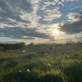 Talk (feat. Aerith) RM Hari