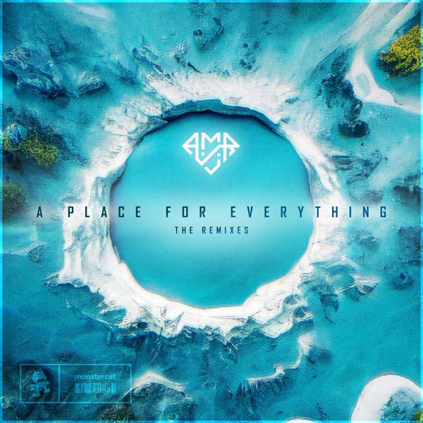 A Place for Everything (The Remixes) - Single