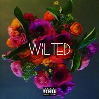 Wilted (feat. Soma & Kendall) - Single - DeliPres