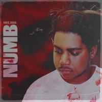 Numb - Mike Anvil