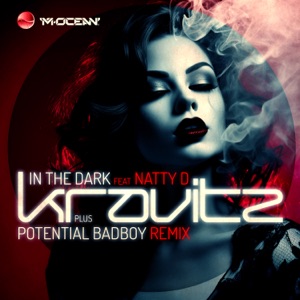 In The Dark (feat. Natty D) - Single