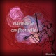 Harmonie Conflictuelle Single