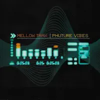 Phuture Vibes — Mellow Trax