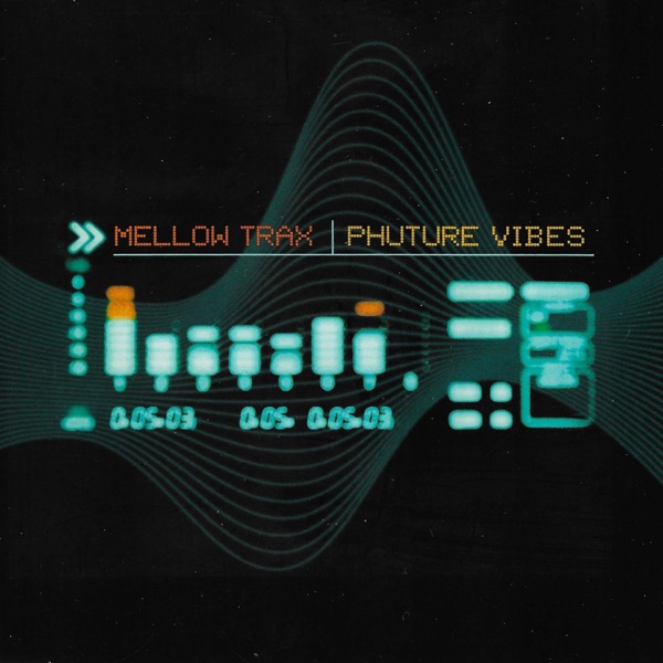 Phuture Vibes (2014 Remastered Version) [Remixes] - EP