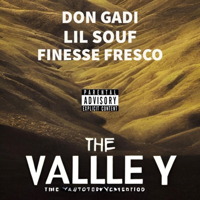 The Valley - Single