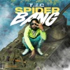 Spider Bang - Single