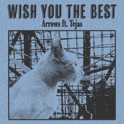 Wish You the Best (feat. Tejas) - Single