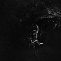 STAND ASIDE (feat. lophiile) - Single - MORTAL REMINDER