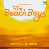 The Beach Boys - Surfin' U.S.A. Grafik