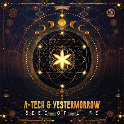 Seed of Life - Single