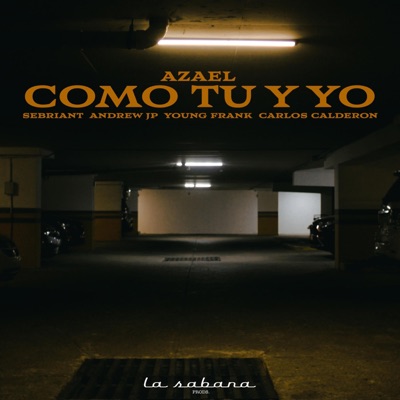COMO TU Y YO (feat. Sebriant, Andrew JP, Young Frank, Carlos Calderon & vKlap) - Single