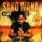 Gnani (feat. Iba Diabaté) - Sako Wana lyrics