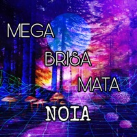 Mega - Brisa Mata Noia - Single - Dj Nando GFD & Dominando os Fluxos