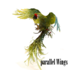 Bird's Wings - Hasina Sen