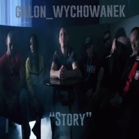 Story (feat. Dudek P56, INKG, PeRJoT, Miss MDZ & Este) - Single - GALON_WYCHOWANEK