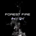 Forest Fire