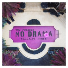 No Drama (Skulkids Remix) (feat. Kid Quill) - Single