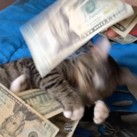 Swsd9 - Single - Lil Sid