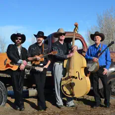 收听 Picky Out The Stingers、观看音乐视频、阅读小传、查看巡演日期等 ！