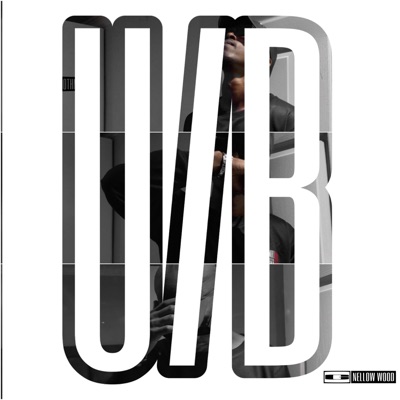 Ufunani/Baleka - Single