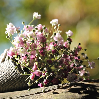 Marsha's Song - Single