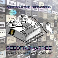 Double Version - Single - Seedfromatree