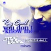 You Don't Know Me (StoneBridge & Damien Hall Mixes) - Single