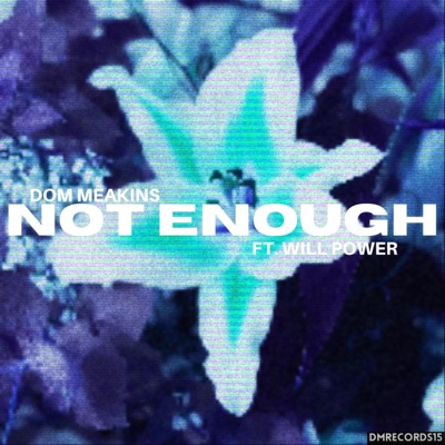 Not Enough (feat. Will Power) - Single