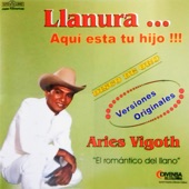 Llanura Aquí Esta Tu Hijo artwork