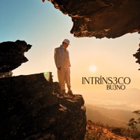 Intríns3co - Bu3no