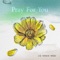 Pray For You - Jo Kwan Woo lyrics