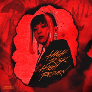 HIGH RISK HIGH RETURN - EP