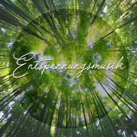 Zum Meditieren - Single - Entspannungsmusik