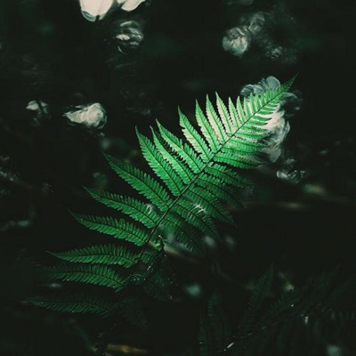 Eons In the Rearview