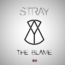 The Blame (Instrumental Version) Stray