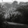 Quiet Times - Single
