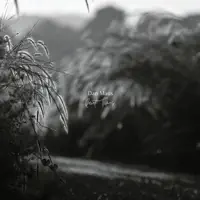 Dan Maus — Quiet Times