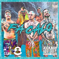 Fa Calo (feat. Lil guiu, Good Jan & Yung mare) - Single - P.A.W.N. Gang & Iced Coffeeboy