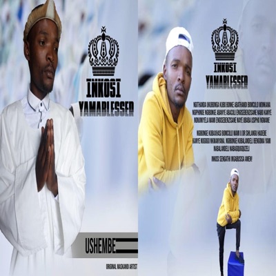 Ushembe - Single
