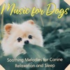 Music for Dogs - Soothing Melodies for Canine Relaxation and Sleep