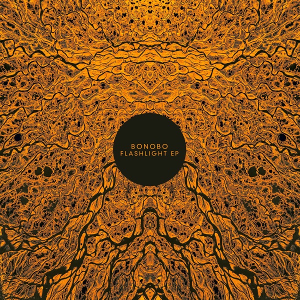 Flashlight - Single - Bonobo