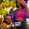 Why We Party (feat. Sess) - Single