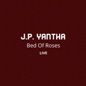 Bed of Roses (Live) artwork