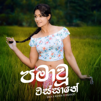 Pamawu Wassane (feat. Ashen Fernando) - Single