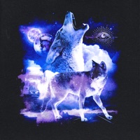 Coyote - Single - Baby FuzZ