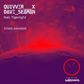 Stars Awaken (Club Mix) by Quivver, Dave Seaman & Tigerlight song reviws