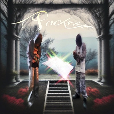 package (feat. Yungster Jack) - Single