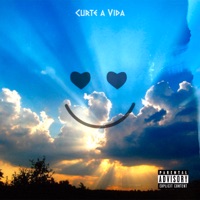 Curte a Vida - Single - K-Lashi