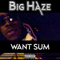 Want Sum - Single - Big Haze
