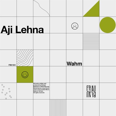 Aji Lehna - Single